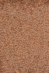 A close-up, top-down view of a pile of dry brown lentils filling the frame