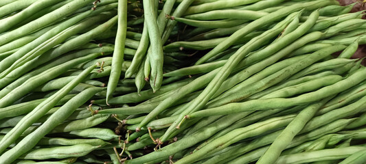 Fresh green beans