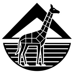 black and white zebra