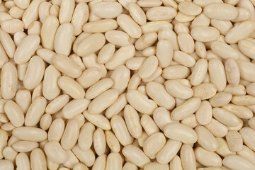 A close-up, top-down shot of a dense pile of white kidney beans
