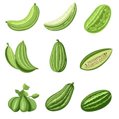 Very Simple flat 2D icon bitter melon set collection isolated on a white background, vector, flat design, animation design, simple flat 2D icon, minimalist design, clipart