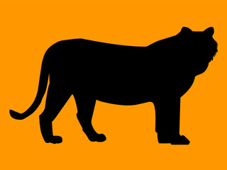 silhouette of a tiger/ lion