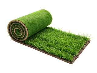 Rolled Artificial Grass Turf &ndash; Isolated on White Background as Transparent. PNG. AI GENERATED