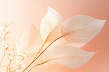 Elegant Minimalistic Composition of Light Leaves Against Soft Pastel Background Showcasing Natural Beauty and Simplicity