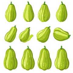 Very Simple flat 2D icon chayote set collection isolated on a white background, vector, flat design, animation design, simple flat 2D icon, minimalist design, clipart