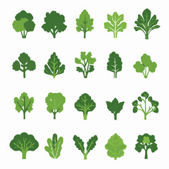 My Simple flat 2D icon kale leaves collection isolated on a white background, vector, flat design, animation design, simple flat 2D icon, minimalist design, clipart