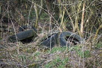 Old tires discarded in the forest, environmental pollution with human waste.
