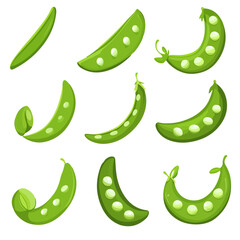 Very Simple flat 2D icon snap peas set isolated on a white background, vector, flat design, vector, flat design, animation design, flat 2D icon, minimalist design, vector