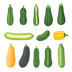 a Simple flat 2D icon green yellow zucchini isolated on a white background, vector, flat design, vector, flat design, animation design, flat 2D icon, minimalist design, vector