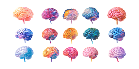 PNG Brain Set in Different Poses on Transparent Background for Science Illustration, Medical Education, or Neuroscience Design