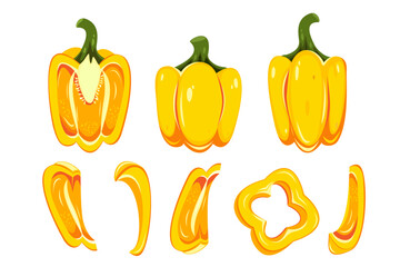 Set of bell peppers. Sweet, yellow pepper, paprika. Whole pepper, slices, wedges. Vector illustration on a white background.