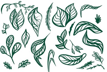 Fototapeta premium green leaves watercolor graphics different. High quality illustration
