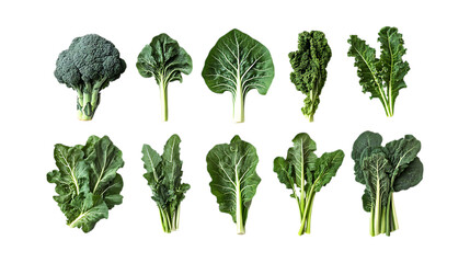 An array of dark green leafy vegetables, including broccoli and kale, provides fresh produce imagery for vegetarian menu design or diet plans.