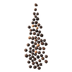 Black Peppercorns Aromatic Spice on transparent background.