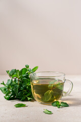 Fresh hot tea from green mint leaves in glass mug on beige background. Herbal healthy drink in cup