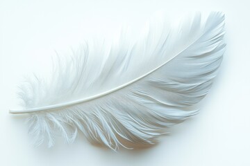 Obraz premium Top view of White feather on white background. Close up with detail, Softness, lightness, weightless concept. Macro.