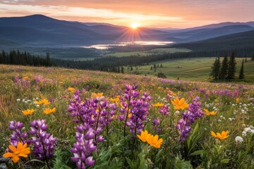 Obraz premium A springtime sunrise illuminating a meadow filled with blossoms, with soft golden light enhancing the vibrant colors