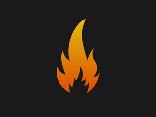 This image features a stylized depiction of a flame against a dark background