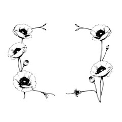 Delicate Black and White Poppy Floral Arrangement, Symmetrically Arranged with Buds and Detailed Petals, on a Bright White Background.