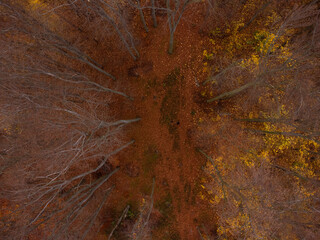 Aerial autumn in the mountains