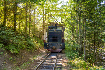 Carpathian railroad tram. Steam locomotive on a narrow-gauge railway. Old transport in the forest nature