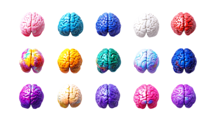 PNG Brain Set in Different Poses on Transparent Background for Science Illustration, Medical Education, or Neuroscience Design