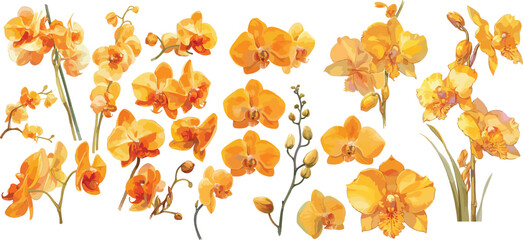 orange orchid watercolor clipart © dian's