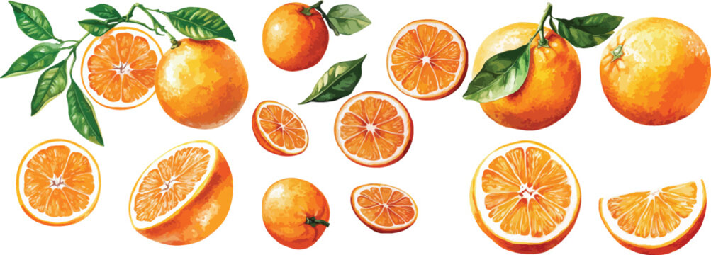 orange watercolor clipart