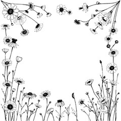 Fototapeta premium Detailed black and white ink drawing of a daisy field, framing a blank white space, evoking a delicate and floral border aesthetic.