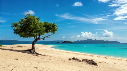 Beautiful tropical beach landscape
