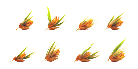 Fototapeta premium Pack Barley Set in Different Poses Against Transparent Background for Agricultural Branding, Cereal Illustration, or Healthy Eating Promotion