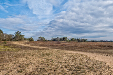 Kootwijker sands Veluwe