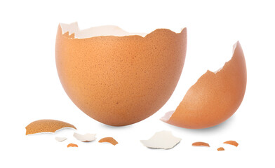 Pieces of brown cracked egg shell on white background
