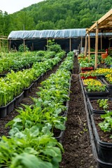 A community farm with shared gardening spaces