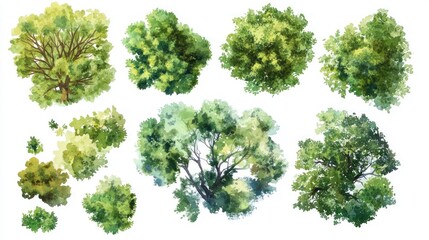 A collection of beautifully illustrated watercolor tree canopies showcasing various shades of green, ideal for nature-themed projects or backgrounds