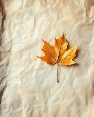 Autumn Maple Leaf on Crumpled Beige Paper Texture Minimalist Fall Background.