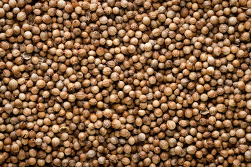 Coriander seeds background. Top view