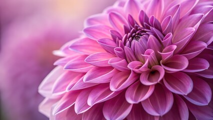 Dahlia's Soft Hues: A close-up captures a stunning dahlia in full bloom, revealing intricate layers of delicate petals in shades of purple and pink, evoking a sense of beauty and serenity.