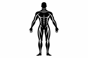 human body line art silhouette vector illustration