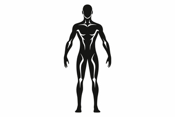 human body line art silhouette vector illustration
