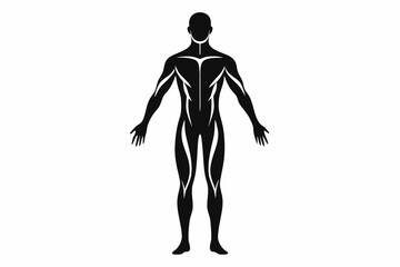 human body line art silhouette vector illustration