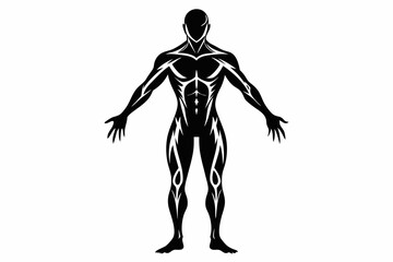 human body line art silhouette vector illustration