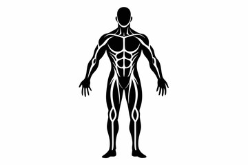 human body line art silhouette vector illustration