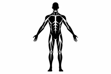 human body line art silhouette vector illustration