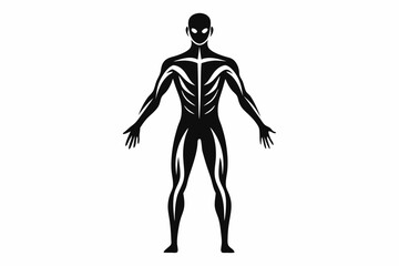 human body line art silhouette vector illustration