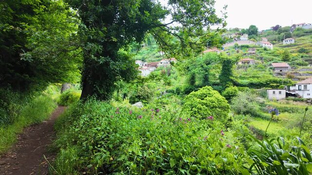 View from footpath along irrigation channel called levada in Camacha city on Madeira Island, Portugal