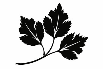 coriander leaf line art silhouette vector illustration