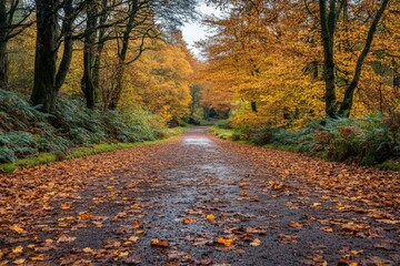 Naklejka premium Beautiful autumn pathway surrounded by vibrant foliage in a serene forest setting