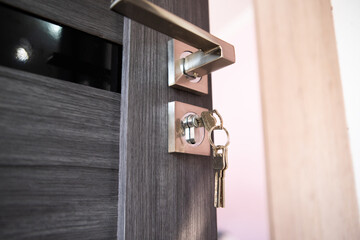 modern metal key on wooden door.