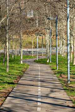 Bicycle lane lined with tall trees in Sant Cugat del Vall&egrave;s, Spain. Urban greenway promoting sustainable transportation with a serene natural environment.